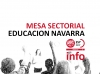 Educacion Navarra. Mesa Sectorial de 5 de junio de 2020.