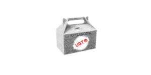 Kit Laboral UGT E.Infantil