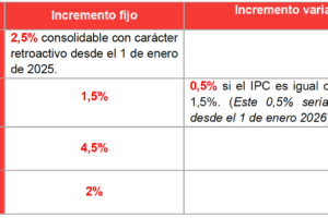Los trabajadores y trabajadoras de la Enseñanza Concertada percibirán los mismos incrementos salariales que el personal del sector público. 