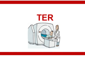 Academia FDF: Preparación TER