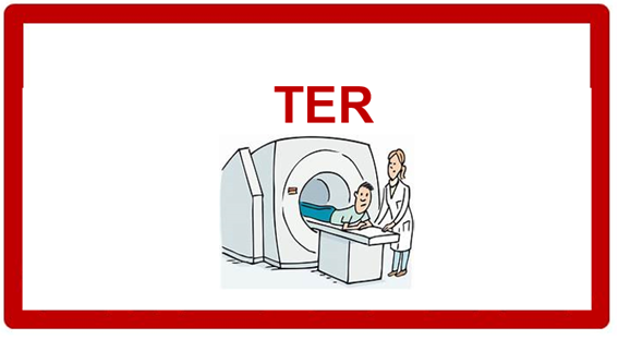 En este momento estás viendo Academia FDF: Preparación TER